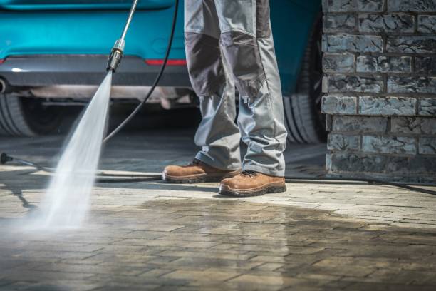 Best Oil Spill Cleanup  in Palm Harbor, FL