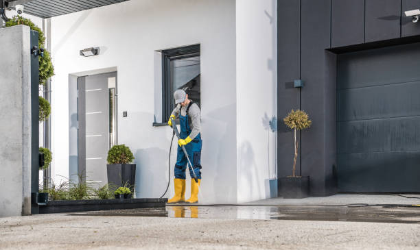 Best Fence Cleaning  in Palm Harbor, FL
